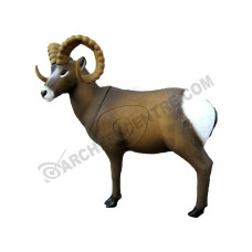 SRT Rocky Mountain Sheep